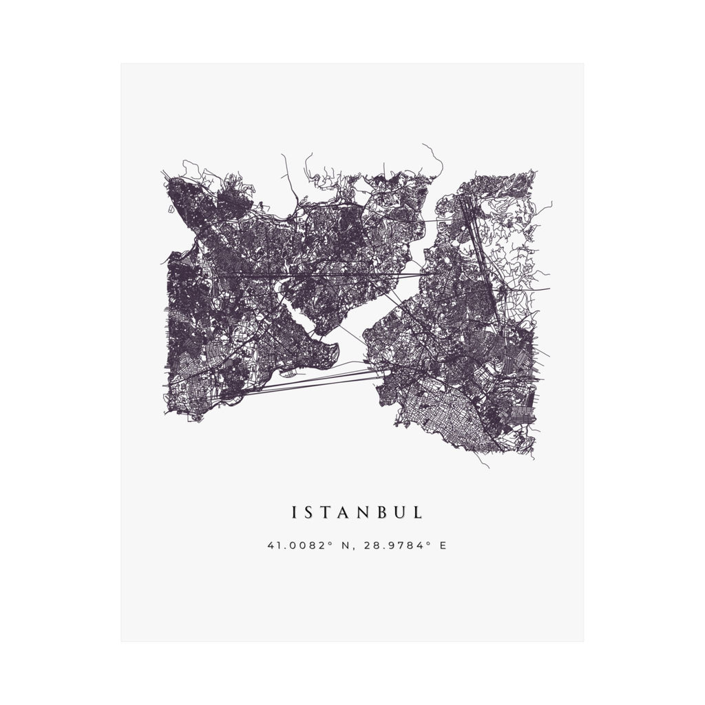 Istanbul City Map Poster